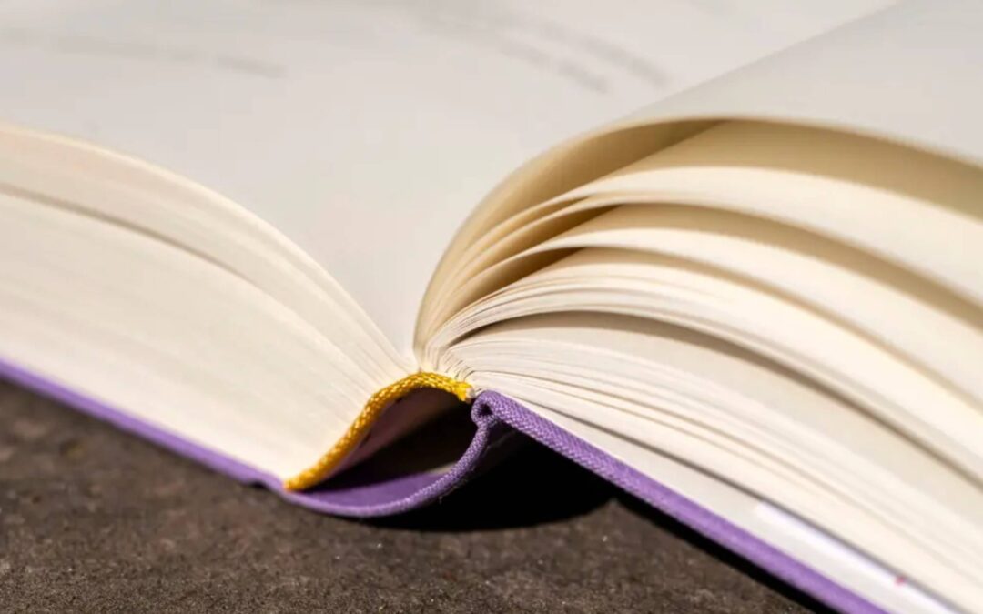 Wegen Synode keine Menschenweihehandlung am 25. und 26. März