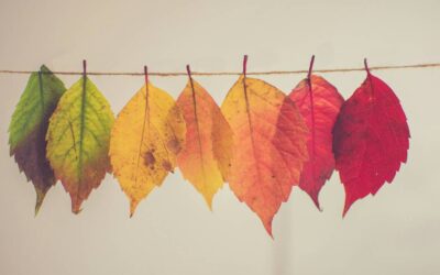 ›Durch das Jahr‹: Jahreszeitenkalender jetzt fertig