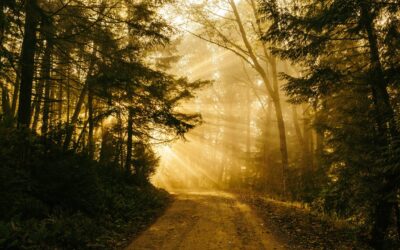 Gemeindeabend: ›Die erneuerten Sakramente‹ am 18. März