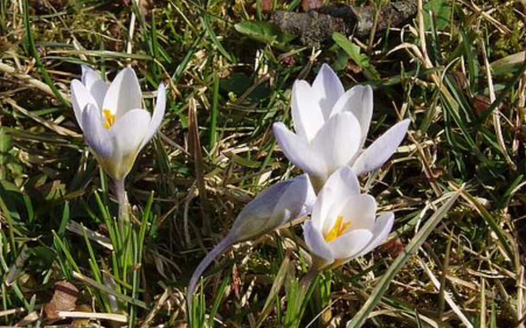 Die nächste Sonntagshandlung für die Kinder in Wahlwies am 17. Mai