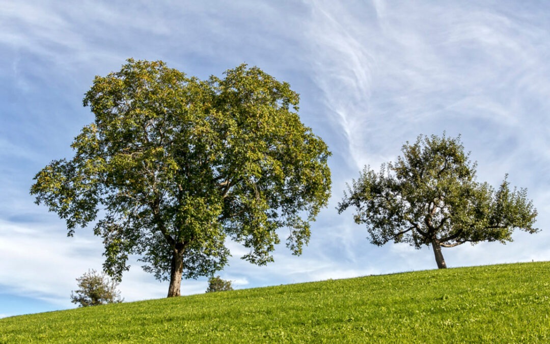 Gemeindeausflug zu Christi Himmelfahrt am 14. Mai 2026