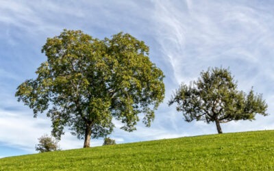Gemeindeausflug zu Christi Himmelfahrt am 14. Mai 2026