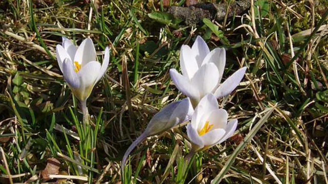 beitragsbild_1280x720